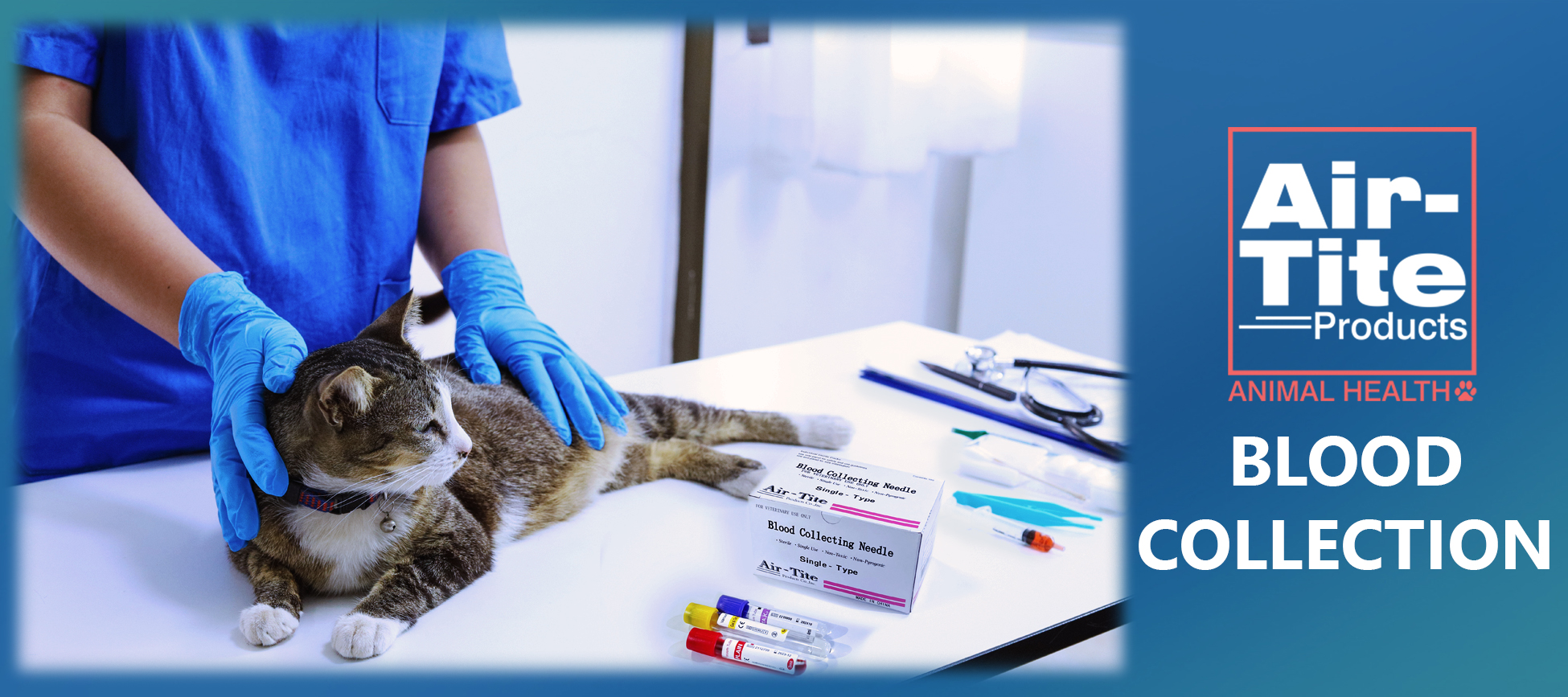 Veterinary Blood Collection: A Guide