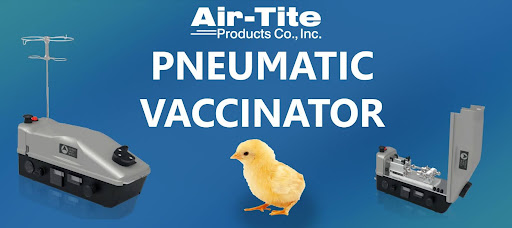 Pioneer Veterinary Products - ✨Blood Collection Top Tip Bevel-up needles  ensure the sharpest tip of the needle pierces through the skin and into the  vein first. #Toptips #Bloodcollection #needles #VetNursing #whatVNsdo