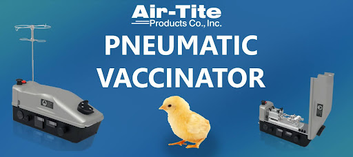 Vaccinating Poultry with an Automatic Vaccinator